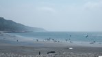 Plage par mar�e basse