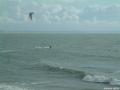 Plus la mar�e descend, plus les vagues s'ordonnent