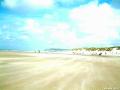 mar�e basse